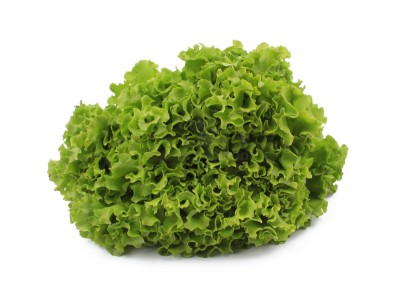 Салат айсберг 300 г - купить в Ануфриевке